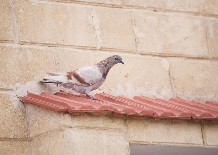 Hotel Glaro Garden Agia Trias